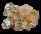 Natural Aragonite Clusters Wholesale Lot - Pieces #61785-3